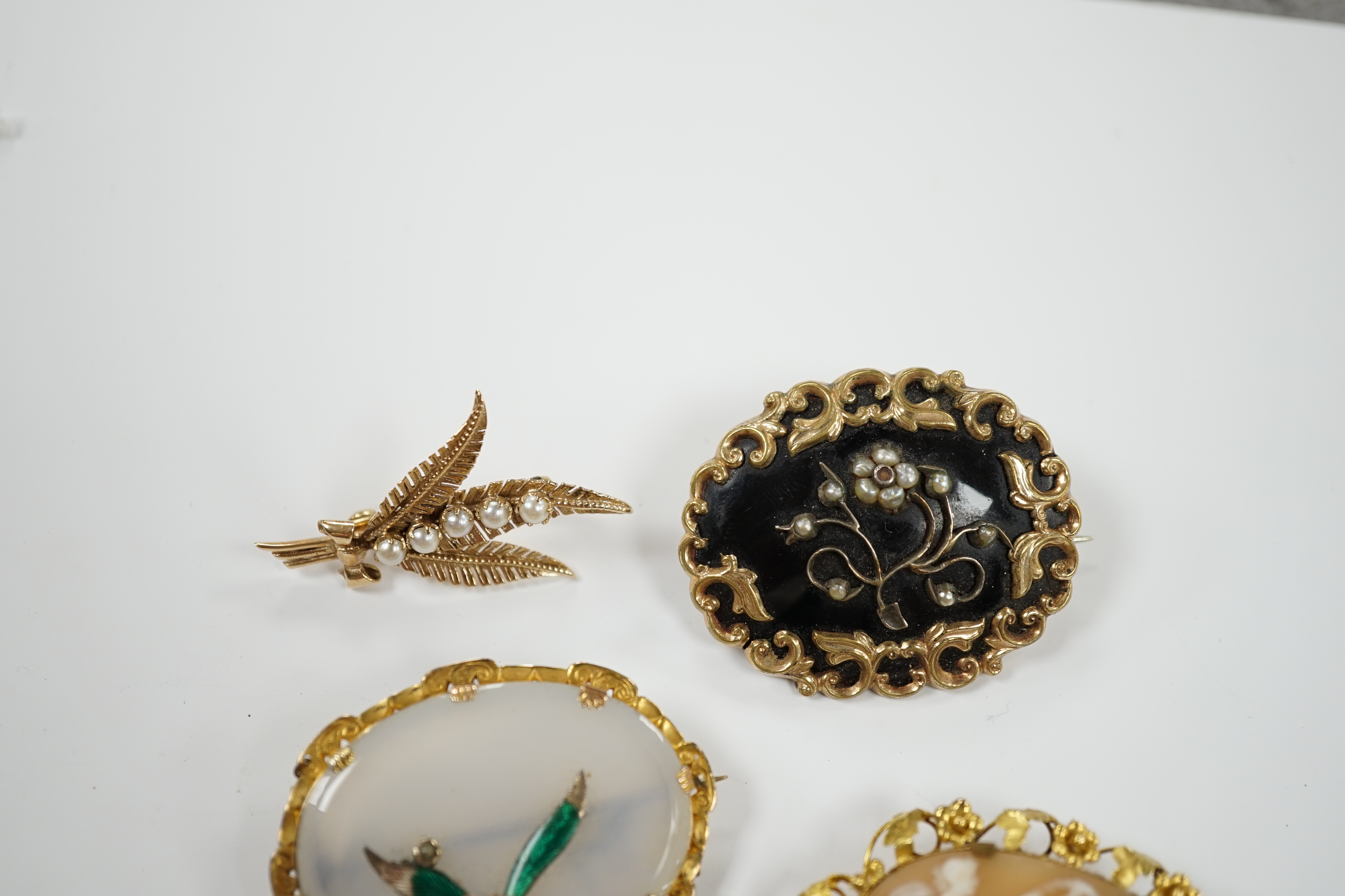 A Victorian yellow metal, black enamel and seed pearl set mourning brooch, 43mm, two other yellow metal mounted brooches, including cameo shell, together with a recent 9ct gold and five stone culture pearl set fern brooc